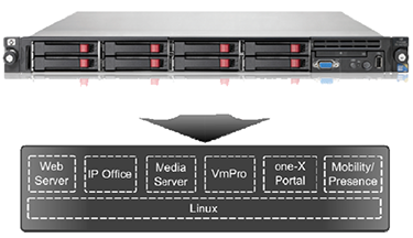 Primary Server