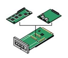 IP500 Legacy Card Carrier